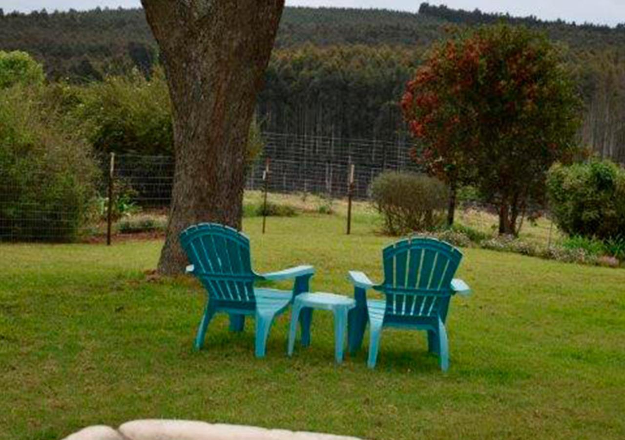 Amber Avenue Guesthouse Howick Extérieur photo